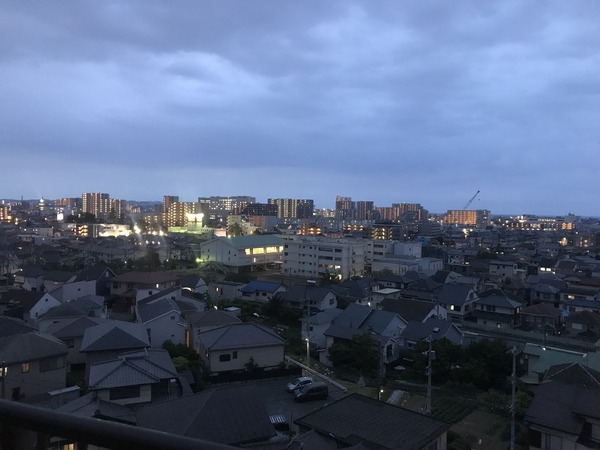 プランヴェール湘南茅ヶ崎 眺望