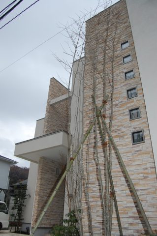 街並みを彩る